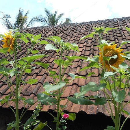 Ming Homestay サイドメン エクステリア 写真